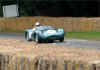 jaguar_dtype2.JPG (36980 bytes)