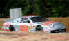 nascar_silver.JPG (44532 bytes)